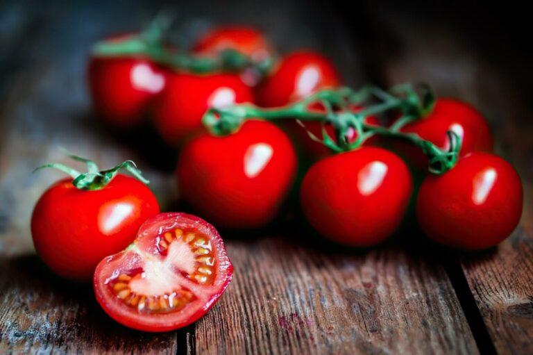 tomaten aus eigenem garten 1 1